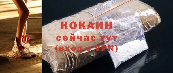 дмт Няндома