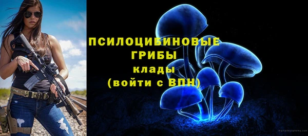 кокс Арсеньев